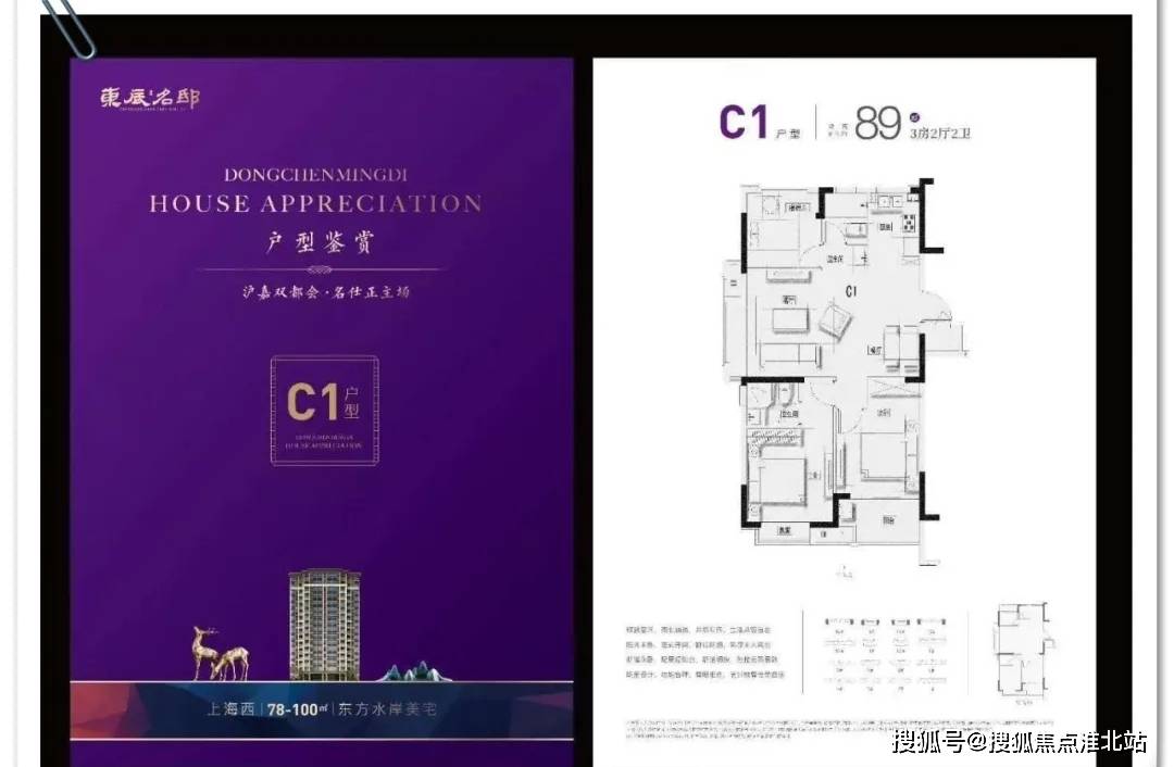 活鹅价格最新行情｜鹅市实时动态