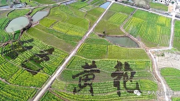 焕新启航：隆回荷香桥未来蓝图绘就