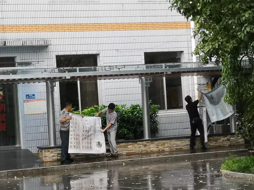 广东鹦鹉台风动态追踪：风雨同舟，共筑平安家园