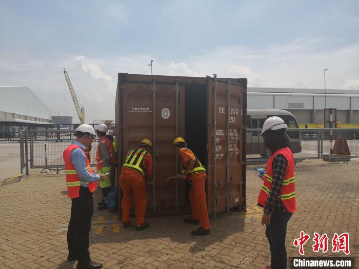 香港象牙走私案再掀波澜：最新案件追踪报道