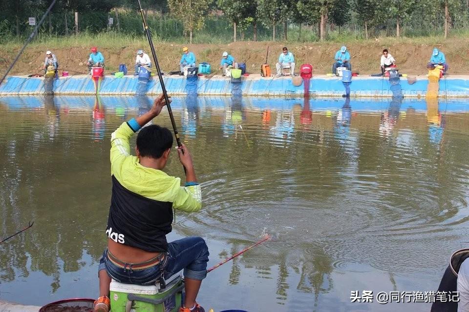 探寻黑坑垂钓新境界：揭秘前沿钓技与独门钓法