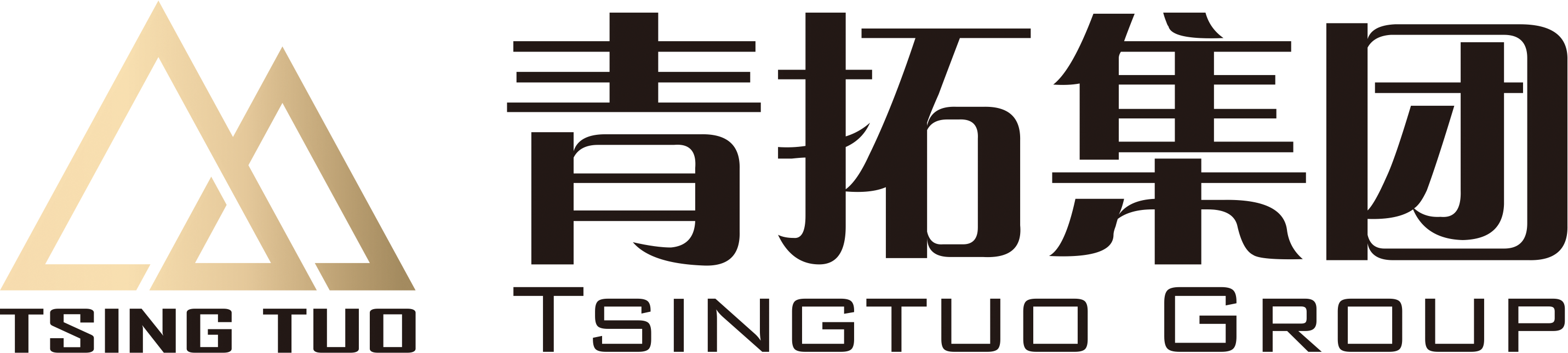 2025年2月6日 第3页